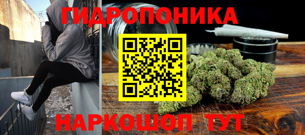 Шишки марихуана VHQ  Марихуана Bruce Banner  Марихуана семена  Камень-на-Оби  Каннабис конопля  Вход с VPN 